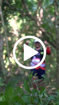 BIB:  <button type="button" onclick="openModal(28078386)" class="btn btn-primary btn-sm float-right" data-toggle="modal" data-target=".modal-high-quality">
                <i class="fa fa-download"></i> Download
                </button>